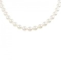 シルバークラスプ アコヤパール ネックレス 6.5-7.0mm