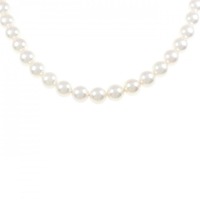 シルバークラスプ アコヤパール ネックレス 6.5-7.0mm