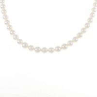 シルバークラスプ アコヤパール ネックレス 5-5.5mm