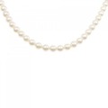 シルバークラスプ アコヤパール ネックレス 6.5-7mm