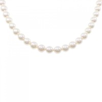 シルバークラスプ アコヤパール ネックレス 6.5-7mm