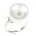 PT 白蝶パール リング 12.7mm