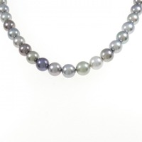 シルバークラスプ 黒蝶パール ネックレス 8.9-9.0mm