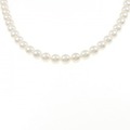 シルバークラスプ アコヤパール ネックレス 6.0-6.5mm