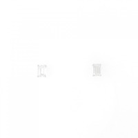 PT ダイヤモンド ピアス 0.314CT 0.301CT D VVS2-VS1 エメラルドカット