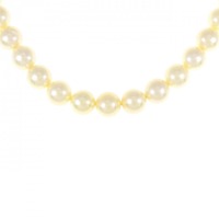 シルバークラスプ アコヤパール ネックレス 7.5-8mm
