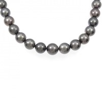 タサキ 黒蝶パール ネックレス 8-11mm