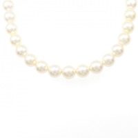 シルバークラスプ アコヤパール ネックレス 8-8.5mm