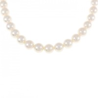 シルバークラスプ アコヤパール ネックレス 7.5-8mm