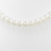 シルバークラスプ アコヤパールネックレス5％引き