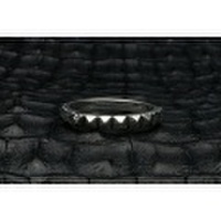 Fuck Around Lewisite(ファックアラウンドルイサイト)　トゥームウォールズSリング　FA-R-0094　F.A.L