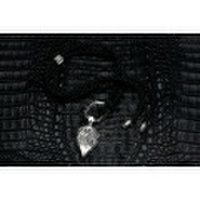 Fuck Around Lewisite(ファックアラウンドルイサイト)　ラージアンクルウォルタープレートレザーチョーカー　FA-NC-0010