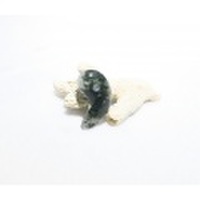 SSJ0016　【稀少】　ガネーシュヒマール産　ヒマラヤ水晶（クローライト）　勾玉