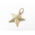 SYMPATHY OF SOUL（シンパシーオブソウル）　Rustic Star Pendant - Small - K10 Yellow Gold（ラスティックスターペンダント - スモール - K10イエローゴールド）
