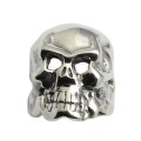 TRAVIS WALKER(トラヴィスワーカー)　RGS201-20th OG Skull Ring 20th