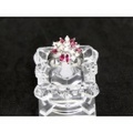 【PT900　プラチナ】 指輪　リング　ルビー0.58ct　ダイヤモンド0.84ct 13号　8.4g　レディース　26232-0　ジュエリー　人気