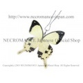 【ネクロマンス NECROMANCE】リアルバタフライウィングネックレス Real Butterfly Wing Necklace ＜オスジロアゲハ＞ 蝶々 羽