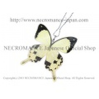 【ネクロマンス NECROMANCE】リアルバタフライウィングネックレス Real Butterfly Wing Necklace ＜オスジロアゲハ＞ 蝶々 羽