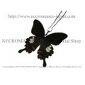【ネクロマンス NECROMANCE】リアルバタフライウィングネックレス Real Butterfly Wing Necklace ＜モンキアゲハ＞ 蝶々 羽