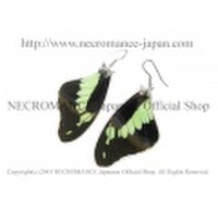 【ネクロマンス NECROMANCE】リアルバタフライウィングピアス Real Butterfly Wing Pierce ＜フォルカスミドリアゲハ 前翅＞ 蝶々 羽