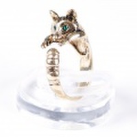 ☆甘えん坊アニマル☆ 『タヌキ』☆