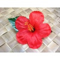 ◆ハワイより入荷しました◆　大きなハイビスカス＆かすみ草　お洒落クリップ　髪飾り