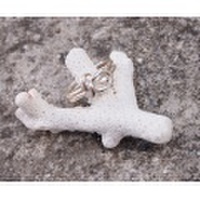 サングヮー シルバーリング