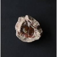 ツーソン2018！激安!貴重なノジュールオパールの原石 4 /10月 【天然石・パワーストーン】