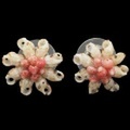 ニイハウシェル 本格ニイハウシェルピアス