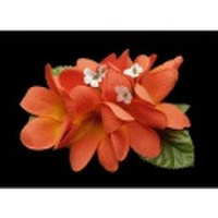 ハワイアンヘアクリップ　プルメリアヘアクリップ　オレンジ