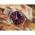 ヘンリーロンドン HENRY LONDON 腕時計 HL34-SM-0196 ハムステッド レディース メッシュメタルベルト