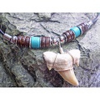 海のお守り★サメ歯化石チョーカー【TCK-3M-101】