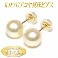 アコヤ真珠 K18イエローゴールド ピアス シャンパンゴールドカラー 6.5-7.0mm