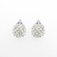 ブシュロン エリソン ピアス