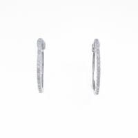 【PTJW-5aa】PT ダイヤモンドピアス5％引き