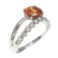 PT ガーネットリング