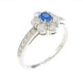 PT アウイナイトリング