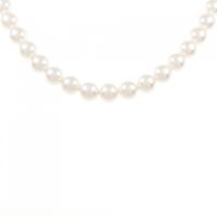 シルバークラスプ アコヤパール ネックレス 7?7.5mm