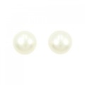 K14WG 白蝶パール ピアス 13.7mm