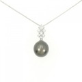 PT 黒蝶パール ネックレス 11.4mm