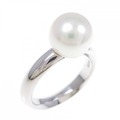 PT アコヤパール リング 8.6mm