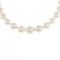 シルバークラスプ アコヤパール ネックレス 8-10.5mm