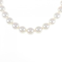 【新品】シルバークラスプ アコヤパール ネックレス 8.5-9mm