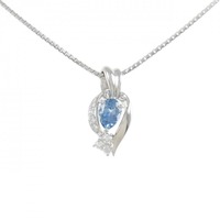 PT アクアマリン ネックレス 0.77CT