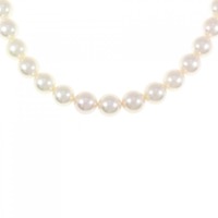 シルバークラスプ アコヤパール ネックレス 8-8.5mm