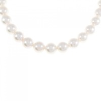 シルバークラスプ/K14WG アコヤパール ネックレス イヤリングセット 7.5-8mm