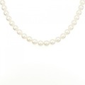 シルバークラスプ アコヤパール ネックレス 7.5-8mm