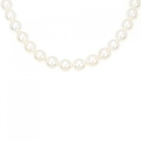【新品】シルバークラスプ アコヤパール ネックレス 7.5-8mm
