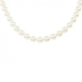 シルバークラスプ アコヤパール ネックレス 5.5-6mm