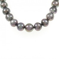 シルバークラスプ 黒蝶パール ネックレス